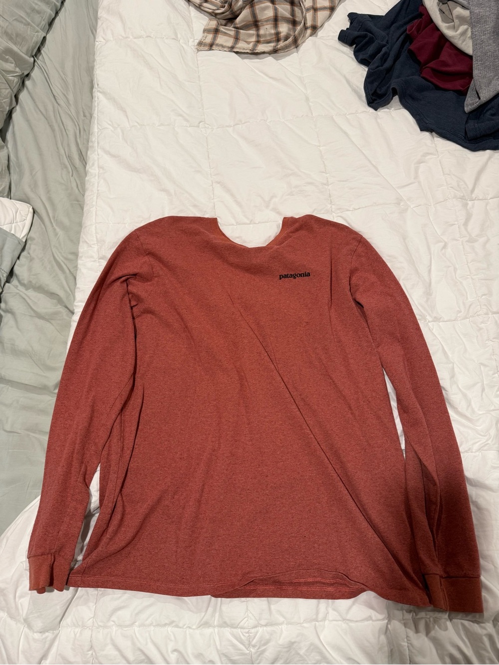 Patagonia Long-Sleeve Crew Shirt in Rust Red